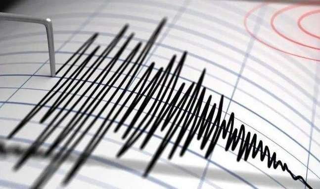 Ilustrasi gempa bumi. Foto : net